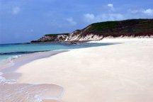 Gibbs Cay beach